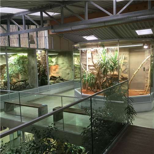 Gute Gelegenheit für Wiederholungstäter 