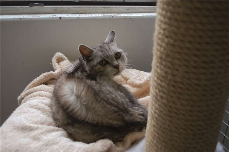 Herzensmenschen gesucht