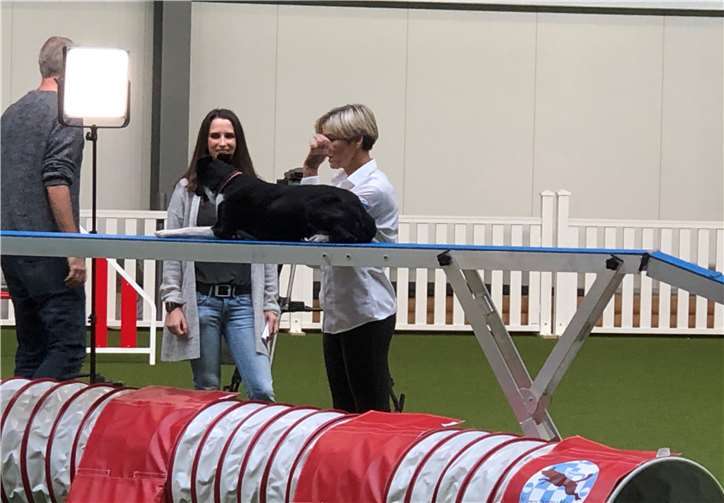 Erstes Turnier bereits in Kürze 