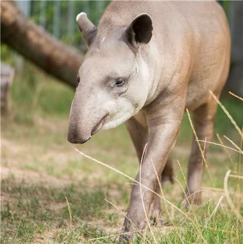 Türchen öffnen sich 