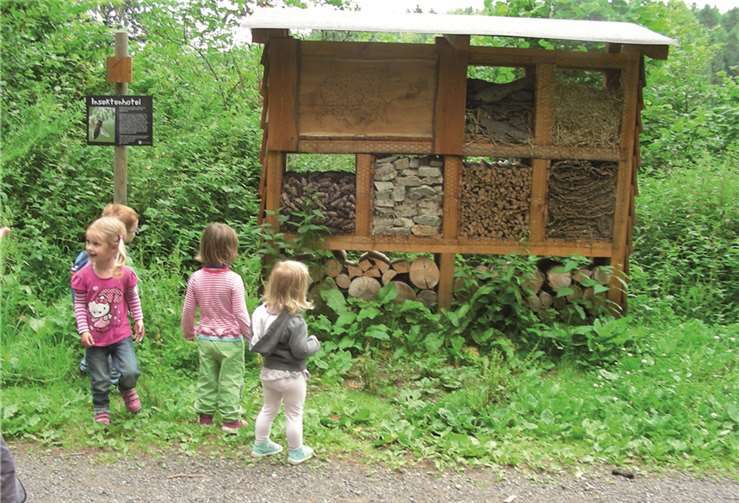 Natur erkunden mit Spiel und Spannung 
