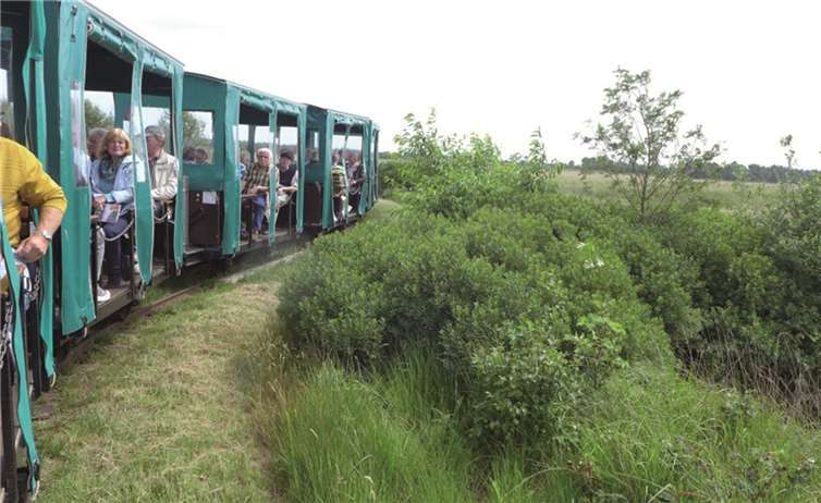 Der Norden von seiner schönsten Seite 
