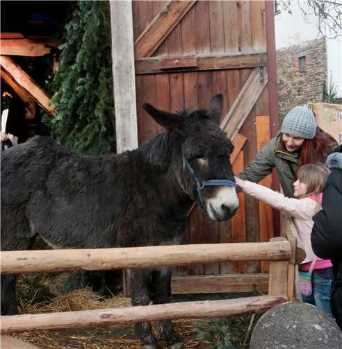 Ein besonderes Programm zum Jubiläum 