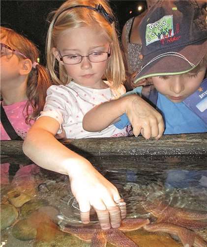 Besuch des Sealife-Aquariums