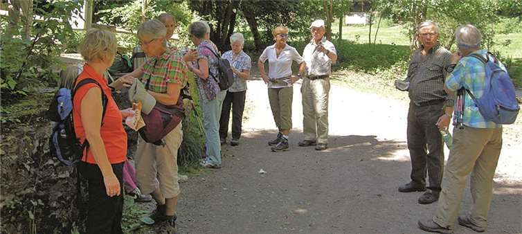 Wanderung entlang des Brexbachs 
