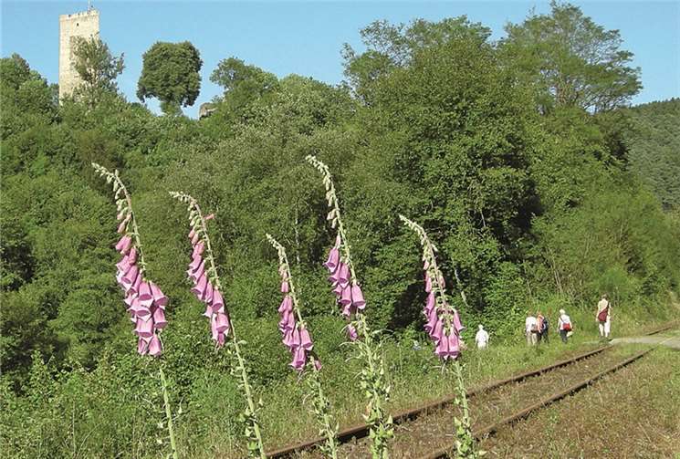 Wanderung entlang des Brexbachs 