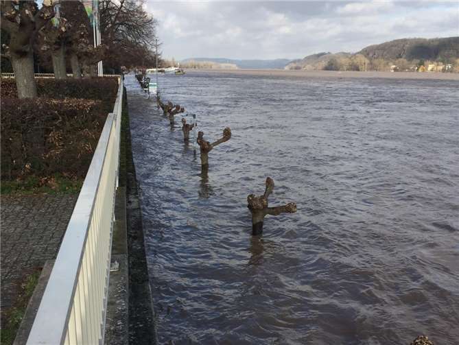 Rhein tritt in Bad Breisig über die Ufer 