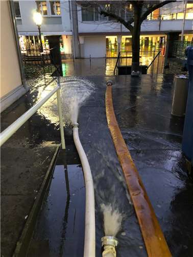 Rettungsaktion für den Cochemer Karneval 
