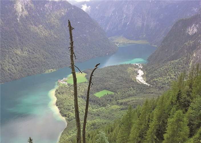 Der etwas andere Trainingslauf - Pit erfolgreich beim Trumer Triathlon 