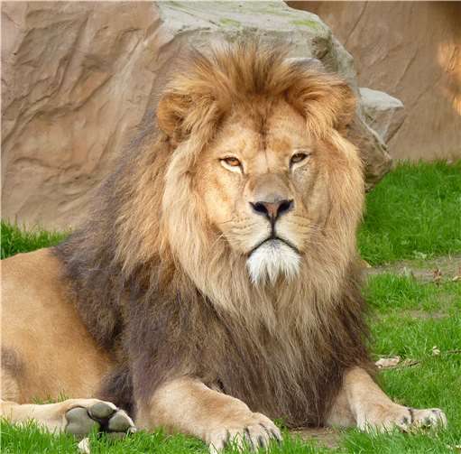 Neuwieder Zooschule feiert den 30. Geburtstag 