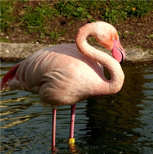 Neuwieder Zooschule feiert den 30. Geburtstag 