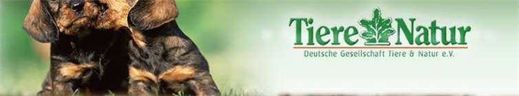 Vereinsgeflecht mit Spendengeldern