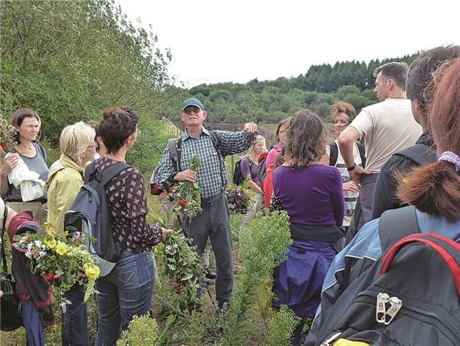 „Kräuterwisch-Exkursion“