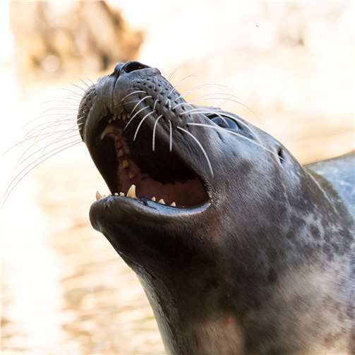 Bereits im Jahr 1995 wurde die große Anlage eröffnet