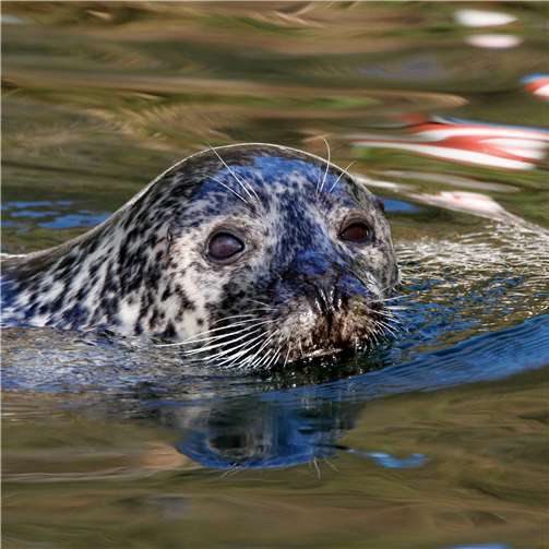 Bereits im Jahr 1995 wurde die große Anlage eröffnet 