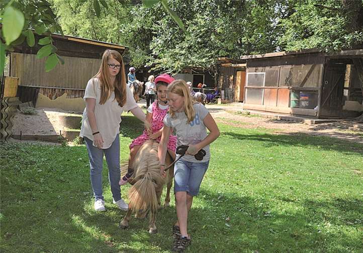 Ponyreiten war der Hit bei den Kids 