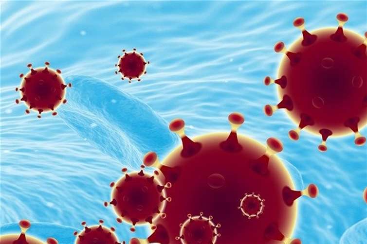 Positive Neuigkeiten in der Krise 