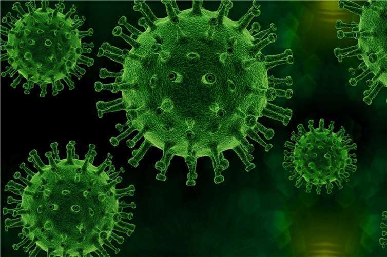 Coronavirus: 799 Infizierte aktuell im Rhein-Sieg-Kreis