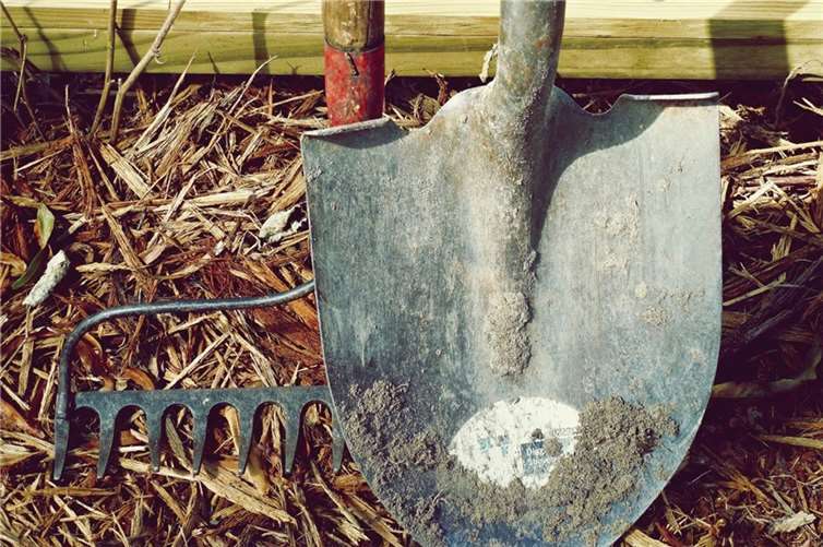Der Frühling steht vor der Tür! 6 Dinge, die jetzt im Garten erledigt werden sollten