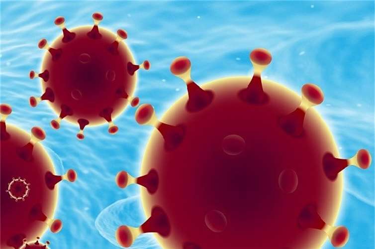 Coronavirus: Vier neue infizierte Personen im Kreis