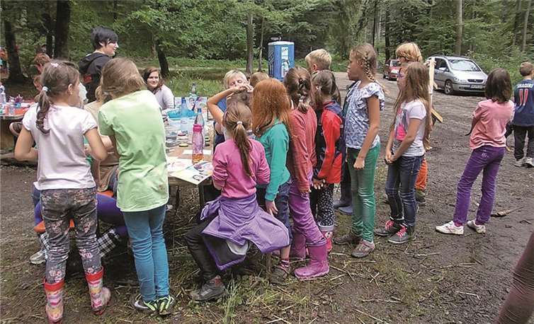 Bunte Stunden im Wald 