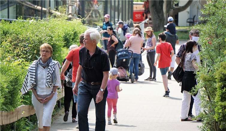 Mit Landes-Futterhilfe und Spenden sind Verluste nicht zu kompensieren 