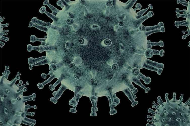 Erneut nur eine Neuinfektion im AW-Kreis 