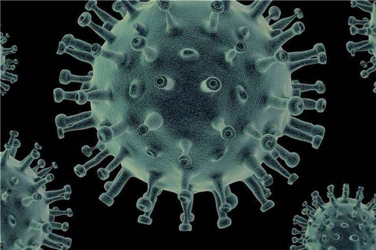 Eine Neuinfektion im AW-Kreis 