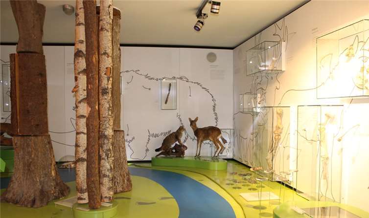 Museen bereiten sich auf Wiedereröffnung vor 