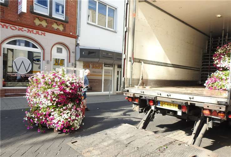 Leuchtende Farben schmücken Andernach 