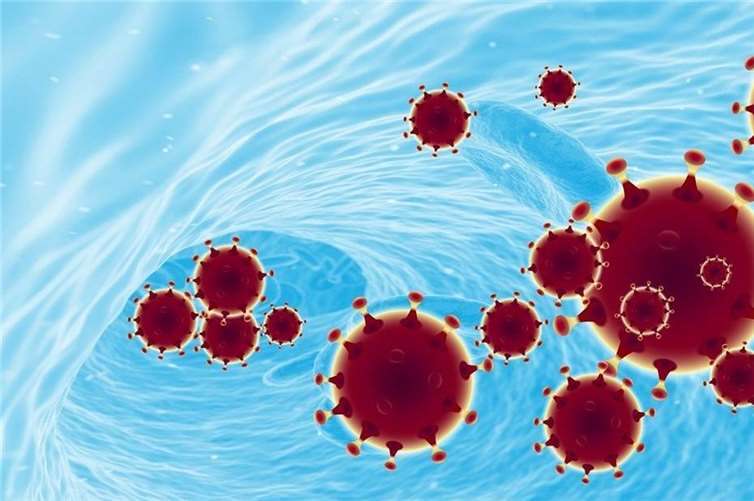 Quarantäne für Studentenwohnheime in Koblenz ist aufgehoben