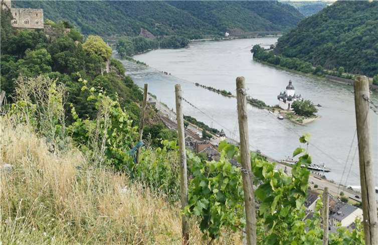 Der Eifelverein Koblenz wandert wieder 