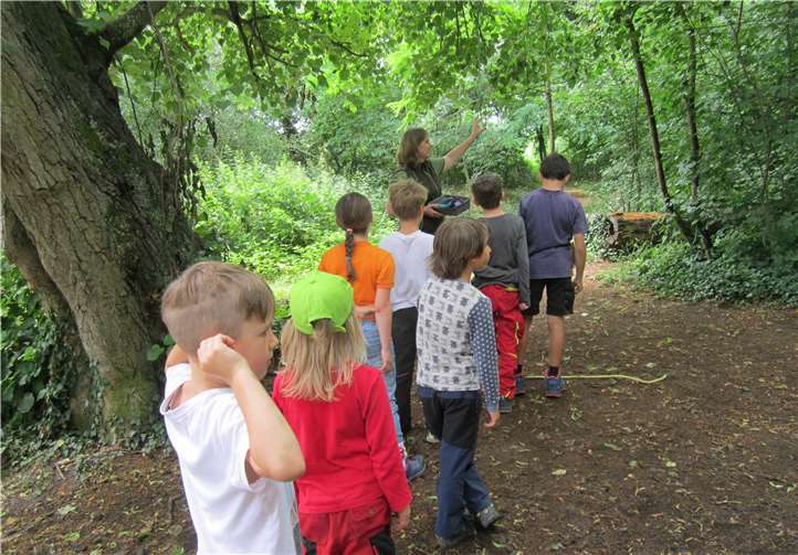 Naturbegeisterte Kids erlebten eine tolle Ferienwoche 