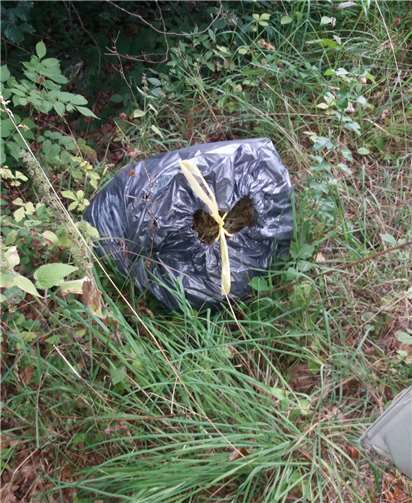 Fünf Müllsäcke illegal entsorgt