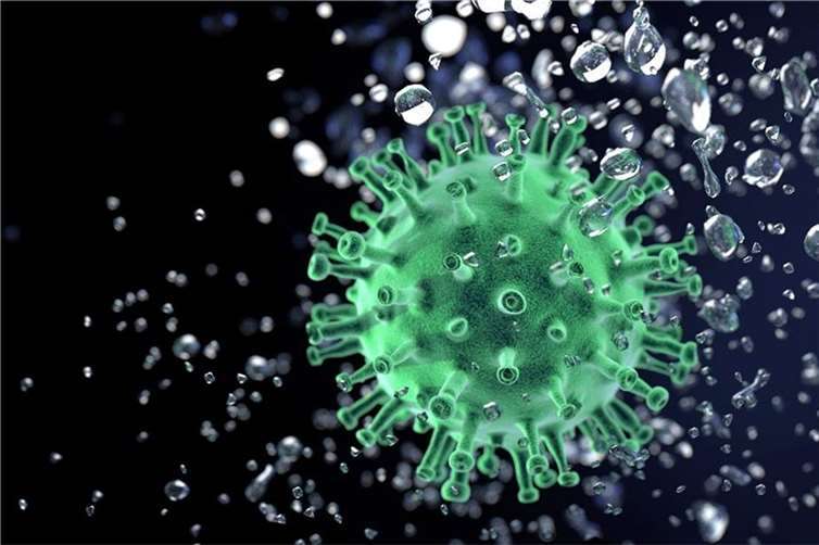 Sechs Neuinfektionen 