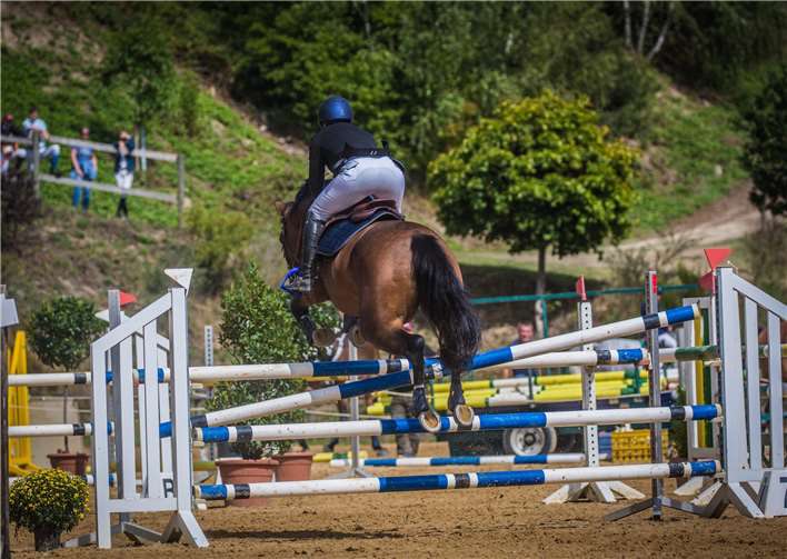 „Erwartungen übertroffen!“ 