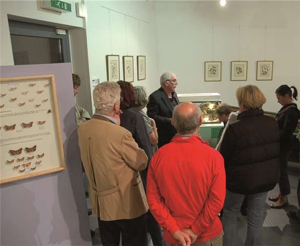 „Lange Nacht der Museen“ 