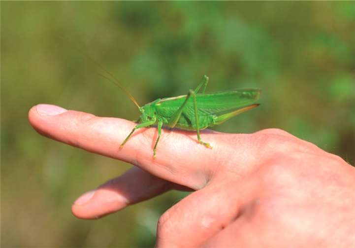 Wer eingreift, muss auch „heilen“ 