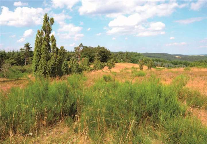 Wer eingreift, muss auch „heilen“ 