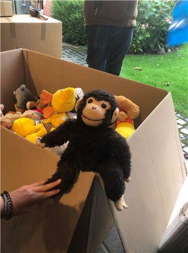 Kuscheltiere gehen auf die Reise 