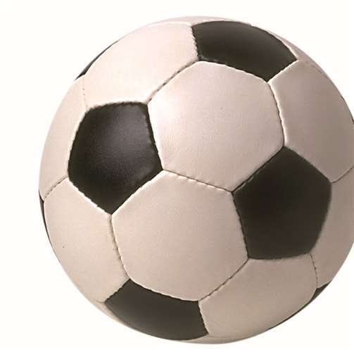 Die Nikolay-Elf fährt einen wertvollen Punkt ein