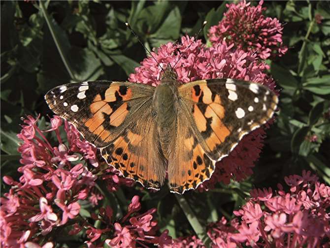 Entspannung und Natur- erlebnis nicht nur im Urlaub 