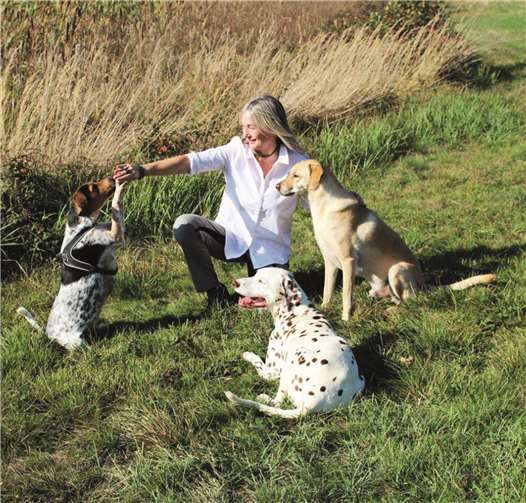 Pferd, Hund, Katze und alle Nagetiere werden liebevoll behandelt 