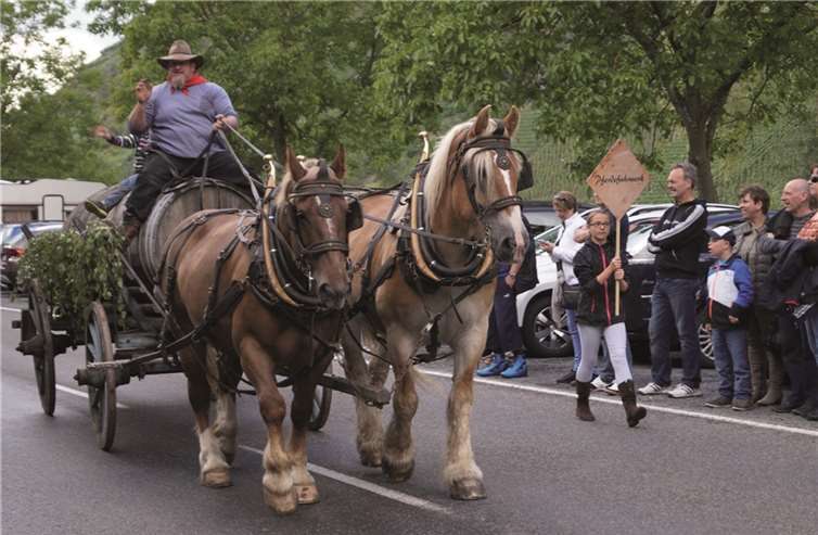 Vier Tage drehte sich alles um Riesling & Co. 