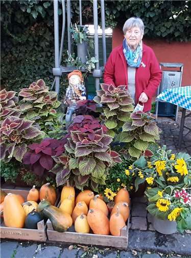 Lahnsteiner Stadtmauerhäuschen und Hexenturm 
