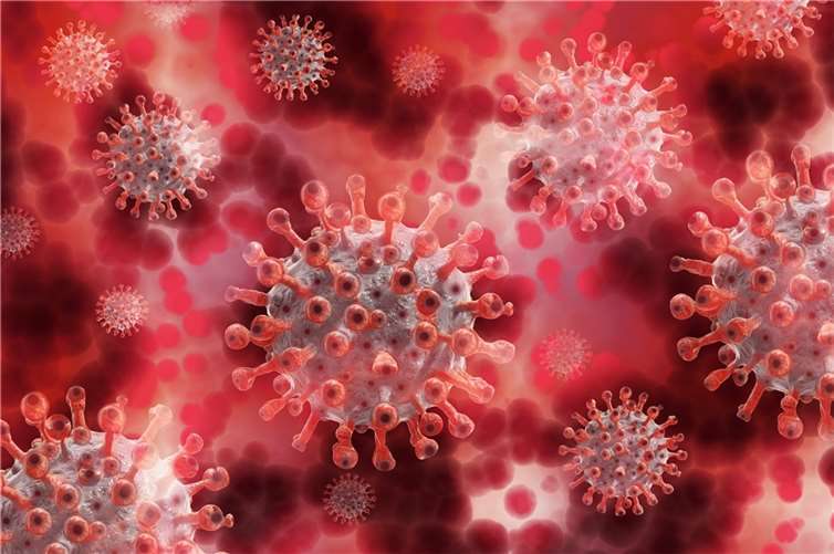 Coronavirus: Ein neuer Todesfall zu beklagen