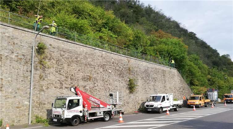 Für ein sauberes und verkehrssicheres Koblenz 