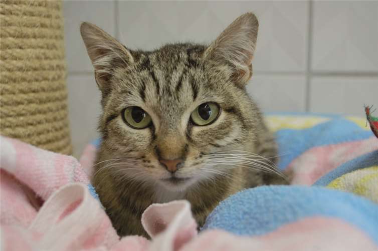 Frau Krause und Ursel wünschen sich liebe Menschen