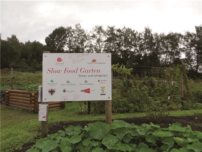 Gut, sauber und fair - Essen will gelernt sein 