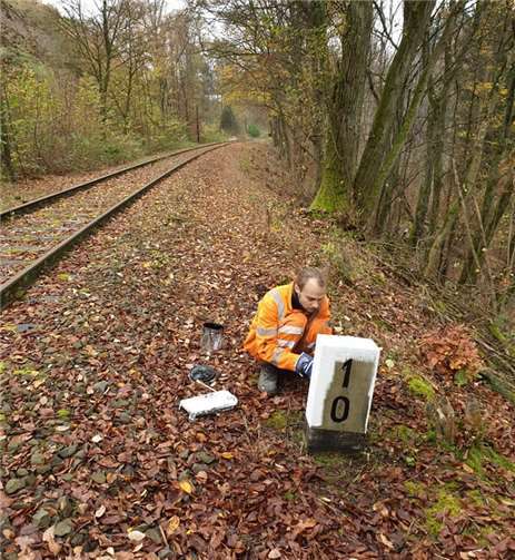Licht am Ende des Tunnels 